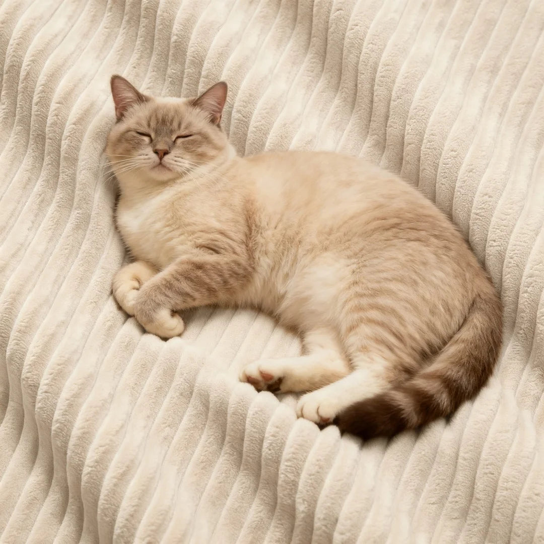 Canapé 3 - Description a changer