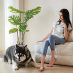 Phyllum - Fauteuil